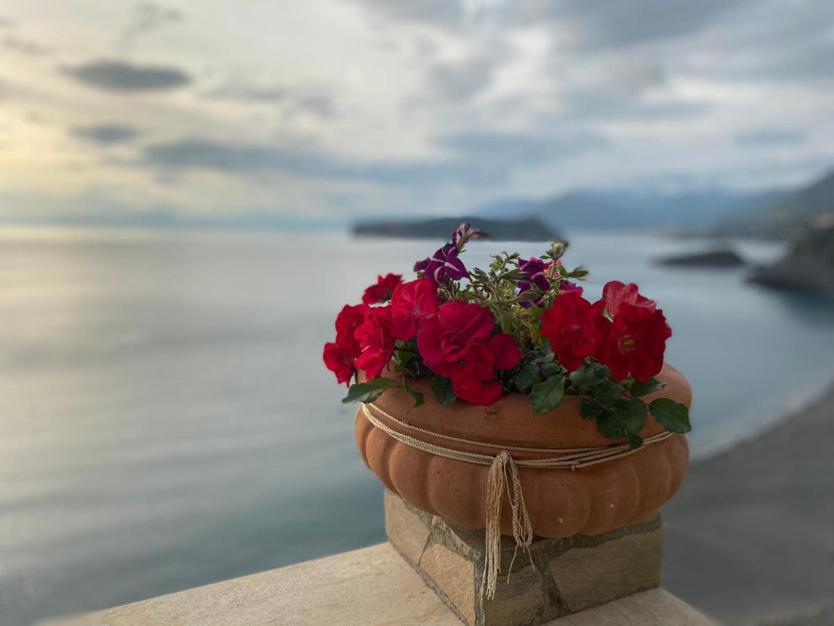 B&B Villa La Petra San Nicola Arcella Kültér fotó