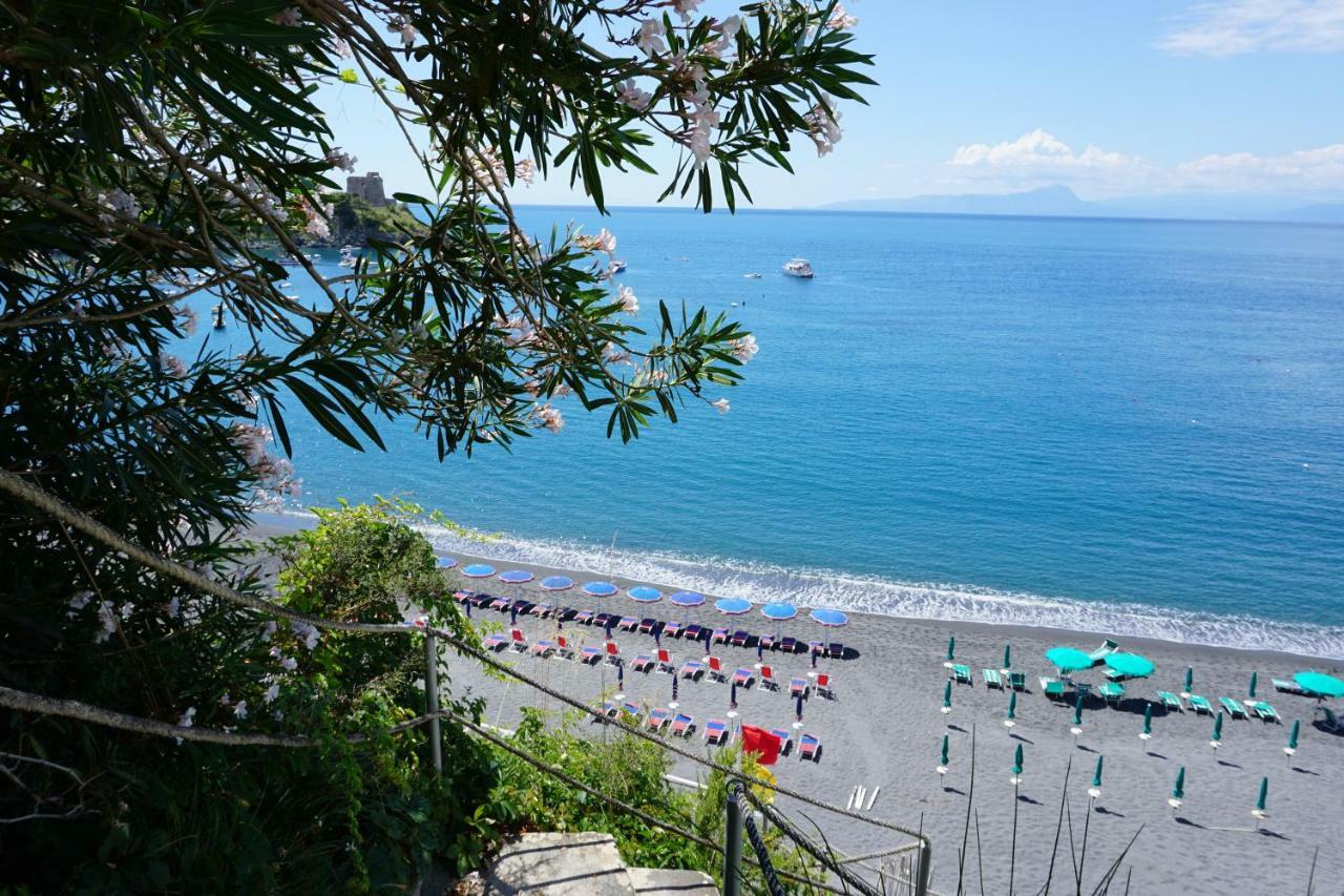B&B Villa La Petra San Nicola Arcella Kültér fotó